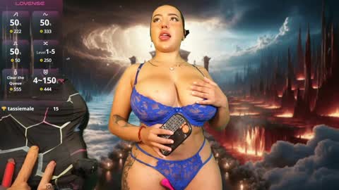 Snapshot of paradise_city__ chatting on February 2025 03:04:01 PM DAILYNPC OF online show from February 2025 03:04:01 PM