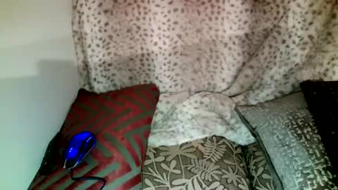 Snapshot of parlay0028 chatting on December 2024 02:43:02 AM Parlay tellio online show from December 2024 02:43:02 AM