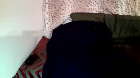 Snapshot of parlay0028 chatting on January 2025 08:25:01 PM Parlay tellio online show from January 2025 08:25:01 PM