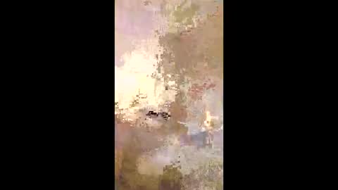 patrickalan2 online show from December 2025 02:50:01 AM