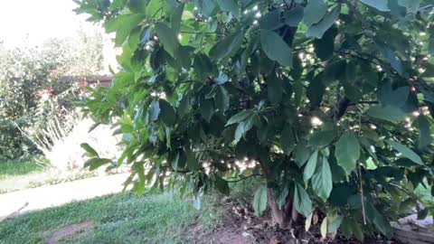 Snapshot of patry333 chatting on September 2025 06:16:02 AM Andreea online show from September 2025 06:16:02 AM