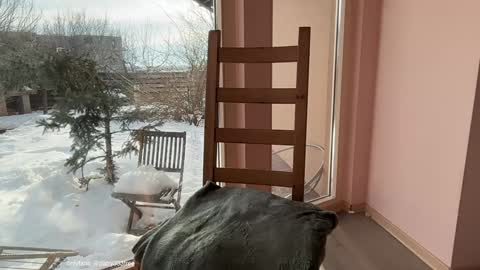 Andreea online show from February 2026 06:37:01 AM