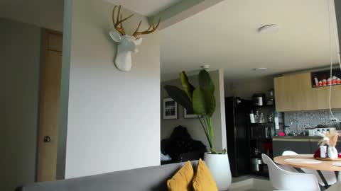 Paul online show from April 2026 04:55:02 PM