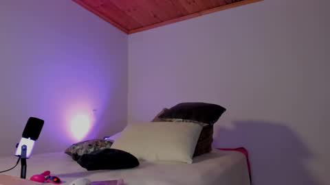 Snapshot of paula_perez07 chatting on January 2025 02:01:01 AM Paula perez - online show from January 2025 02:01:01 AM