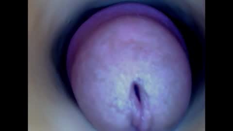 Snapshot of paulainoscente chatting on January 2025 06:51:01 PM Paula 18 Aninhos online show from January 2025 06:51:01 PM