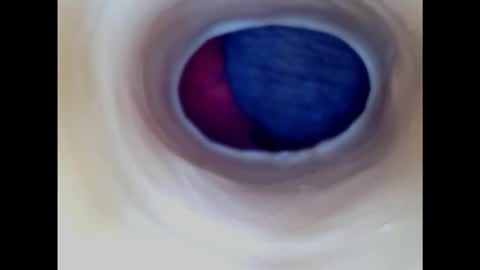 Snapshot of paulainoscente chatting on January 2025 05:04:01 PM Paula 18 Aninhos online show from January 2025 05:04:01 PM