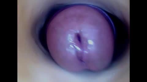 Paula 18 Aninhos online show from February 2026 10:47:02 PM