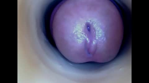 Paula 18 Aninhos online show from April 2026 10:04:02 PM
