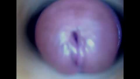 Paula 18 Aninhos online show from July 2026 01:21:01 PM