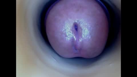 Paula 18 Aninhos online show from August 2026 01:42:01 PM