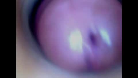 Paula 18 Aninhos online show from August 2026 02:13:02 AM