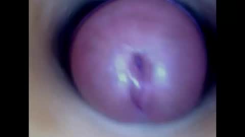 Paula 18 Aninhos online show from August 2026 02:36:02 AM