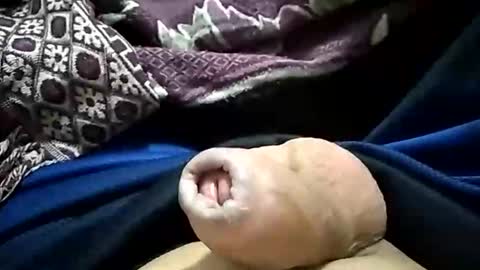 carlosjdo online show from October 2025 03:09:01 AM