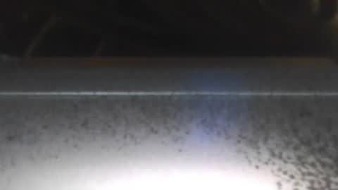 Snapshot of paulstetson chatting on December 2024 08:00:02 PM paulstetson online show from December 2024 08:00:02 PM
