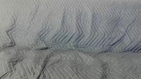 Snapshot of paupam chatting on January 2025 07:31:01 PM paupam online show from January 2025 07:31:01 PM