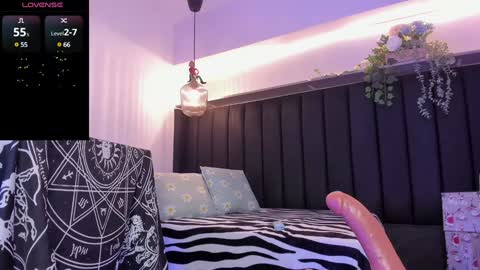 Snapshot of pawggirl18 chatting on December 2024 08:54:02 PM Dani online show from December 2024 08:54:02 PM