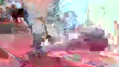 Coco channel  online show from January 2025 08:29:01 AM