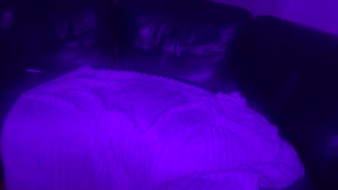 Snapshot of paybarbi chatting on November 2025 07:14:01 AM paybarbi online show from November 2025 07:14:01 AM