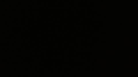 Snapshot of pearlatin chatting on January 2025 02:48:02 AM pearlatin online show from January 2025 02:48:02 AM