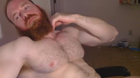 Pec inspector online show from January 2025 03:55:02 AM