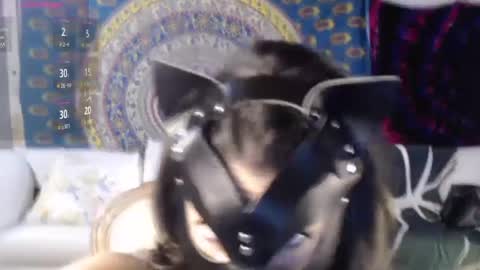 NEXT CHILL SESH  1130 930pm -ish PEEK online show from December 2024 02:41:02 PM