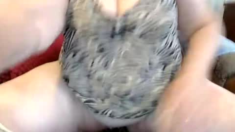 PeggySoft online show from June 2026 07:40:02 AM