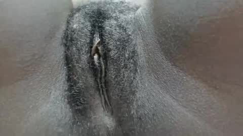 Snapshot of pennyna1 chatting on October 2025 11:35:02 PM pennyna1 online show from October 2025 11:35:02 PM