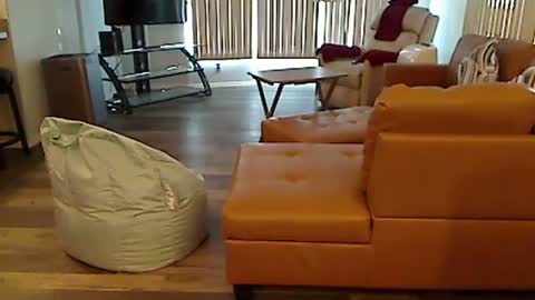 perfecto1957 online show from December 2024 07:10:01 PM