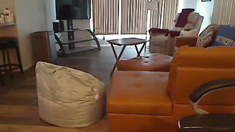 perfecto1957 online show from February 2025 04:39:02 PM