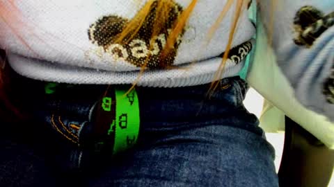 horror flying on the wings of the night.... online show from December 2024 08:59:01 AM