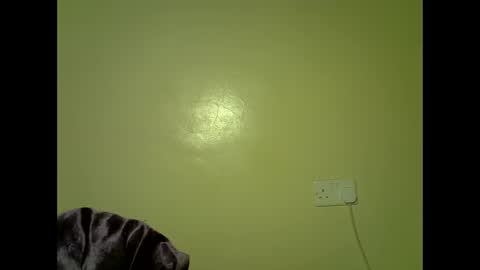 Snapshot of perverted_sweet chatting on November 2025 11:43:01 PM perverted_sweet online show from November 2025 11:43:01 PM