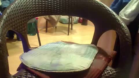 Snapshot of peta000007 chatting on December 2025 09:12:02 PM peta000007 online show from December 2025 09:12:02 PM