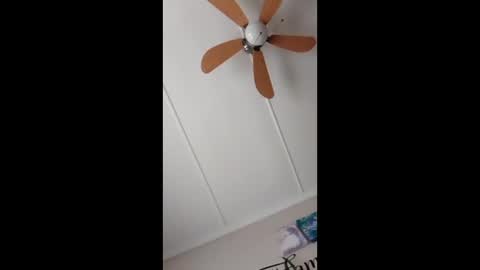 Snapshot of peter2216 chatting on February 2026 08:13:01 AM peter online show from February 2026 08:13:01 AM