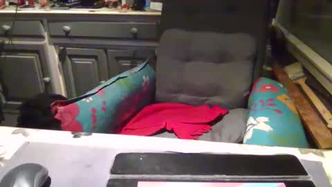 Snapshot of peter_on_kik chatting on November 2025 04:25:01 AM make me cum in pvt dutch german daddy c2c bigcock online show from November 2025 04:25:01 AM