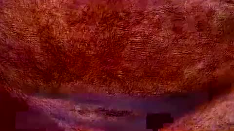 Snapshot of peterpeteropoulos chatting on July 2026 07:05:02 PM peterpeteropoulos online show from July 2026 07:05:02 PM