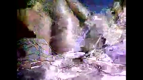 peterson1978 online show from November 2025 08:07:01 PM