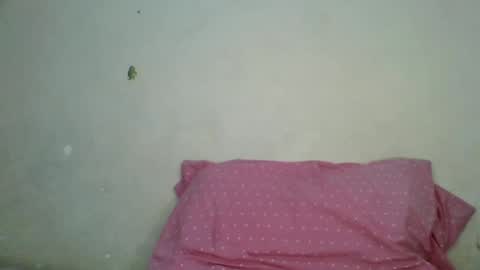 petite_shan online show from June 2026 05:32:02 AM