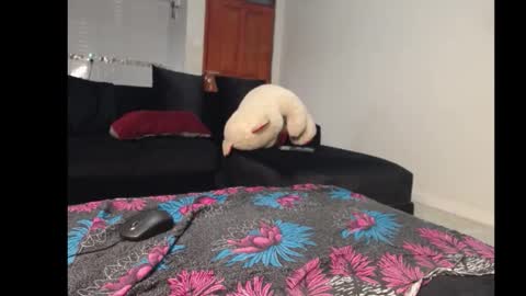 ebonyshawtypetit online show from November 2025 04:00:01 AM