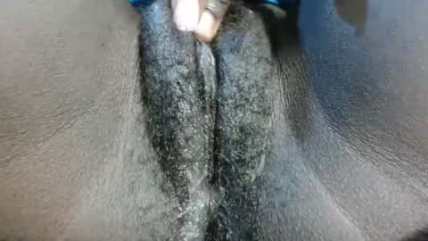 Snapshot of petiteme1 chatting on January 2025 08:21:02 PM petiteme1 online show from January 2025 08:21:02 PM