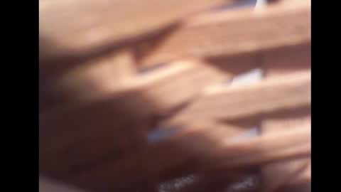 Snapshot of pg19531107 chatting on October 2025 09:38:01 PM Paul online show from October 2025 09:38:01 PM