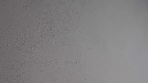 PatriceMakayla CD online show from June 2026 07:05:01 PM
