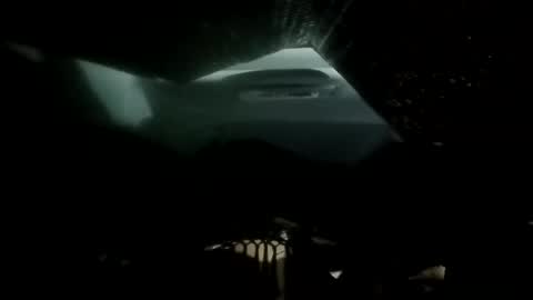 Snapshot of phillipdee chatting on November 2025 09:21:01 AM phillipdee online show from November 2025 09:21:01 AM