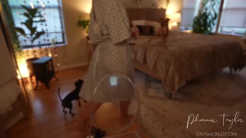 Snapshot of phoenix_taylor chatting on October 2025 12:56:02 AM PHOENIX TAYLOR online show from October 2025 12:56:02 AM