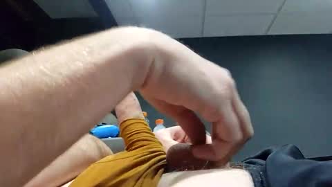 Snapshot of pickeler chatting on January 2025 04:59:01 AM big pickle online show from January 2025 04:59:01 AM