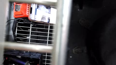 pickleback69 online show from September 2025 07:43:01 AM