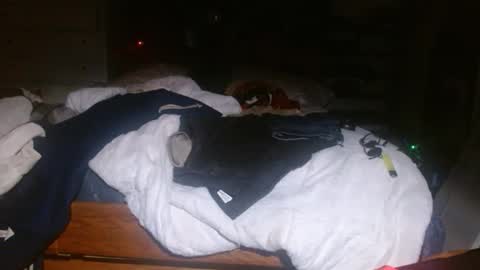 picklerick650 online show from November 2025 02:25:01 AM