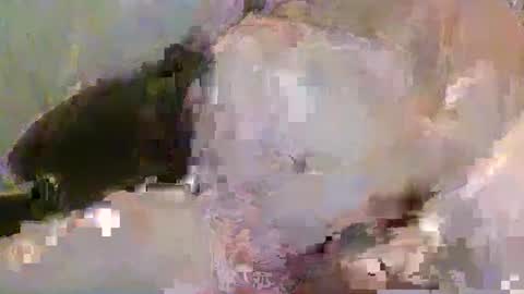 Snapshot of pickup844 chatting on January 2025 08:39:01 AM Pickup844 online show from January 2025 08:39:01 AM