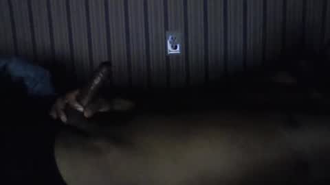 Snapshot of pierce2094 chatting on November 2025 08:27:02 AM pierce online show from November 2025 08:27:02 AM