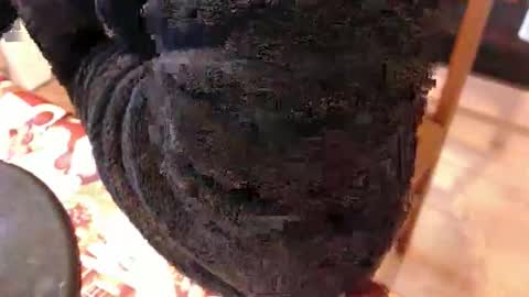 piercedcock069 online show from January 2026 10:09:02 AM