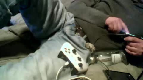 Snapshot of pierke34 chatting on January 2026 12:57:02 AM Pierke online show from January 2026 12:57:02 AM